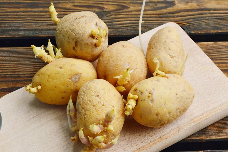 Kad krompir proklija ili omekša, ne bacajte ga nipošto: Uradite ovo i biće savršeno ukusan!