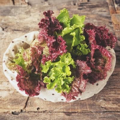 Lolo roso salata je neverovatno zdrava: Poboljšava vid, čisti kožu, eliminiše ćelije raka!