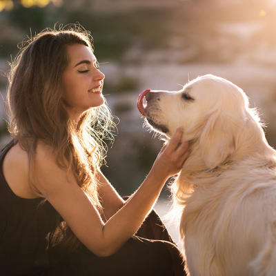 Kako odabrati psa koji odgovara tvom karakteru i životnom stilu: Nije samo važno da li je sladak! (FOTO)