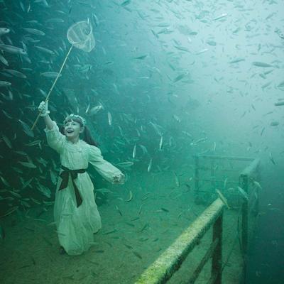 Najbizarnija izložba ikada: Stotinama metara pod vodom, ovde vlada jedan sasvim čudan život