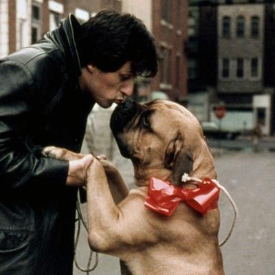 Najtužniji period u životu Silvestera Stalonea: Prodao svog psa za 25 dolara da bi preživeo - priča koja će vam naterati suze na oči! (FOTO)