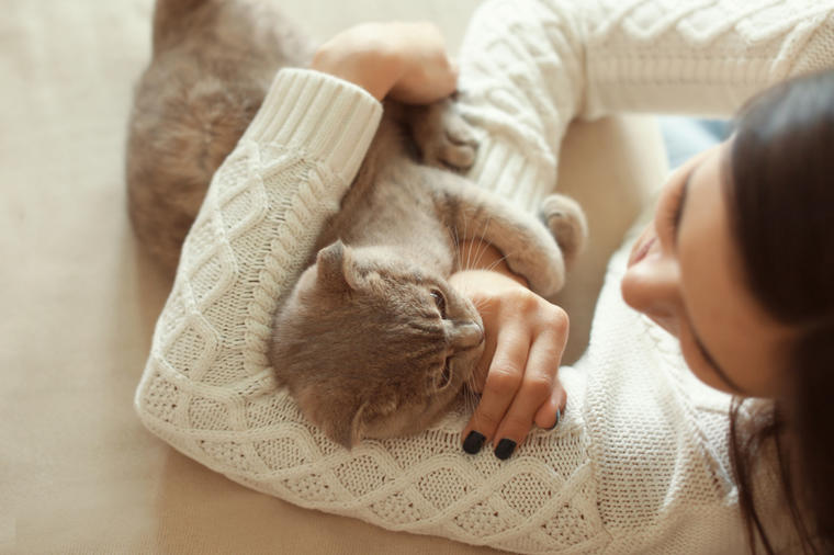 Mačke su lek za dušu i telo: Prenose ljubav, umiruju i leče predenjem!
