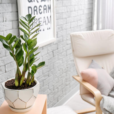 Suv vazduh ima mnogo posledica po zdravlje: Sjajan trik za osećaj svežine u svakoj prostoriji vašeg doma!