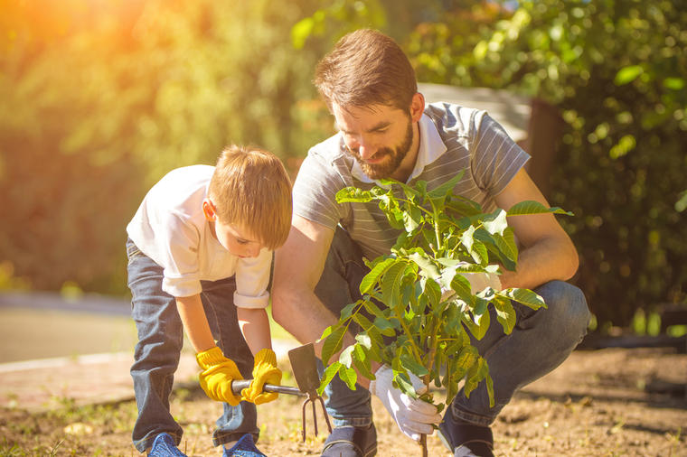 Zasadi drvo, zasadi svoj kiseonik: Povežimo decu s prirodom