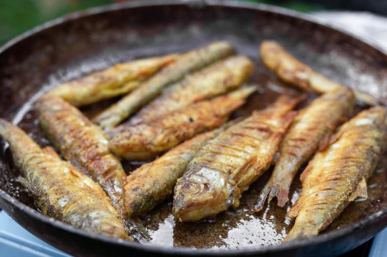 PREPUNE VITAMINA, MALO KALORIJA: 5 najzdravijih vrsta ribe sa niskim sadržajem masti!
