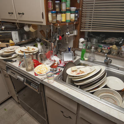 NERED U KUĆI OTKRIVA 8 PSIHOLOŠKIH PROBLEMA: Prljava kuhinja je znak depresije, a zanemareno kupatilo otkriva stres