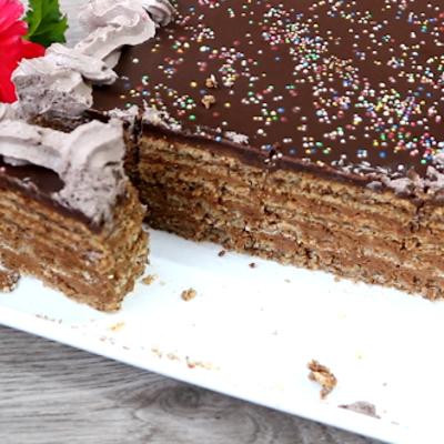 Evo kako se pravi reforma torta: Najlepša čokoladna poslastica! (RECEPT, VIDEO)