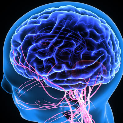 Nije naučno dokazano da kumin može da "očisti" krvne sudove mozga