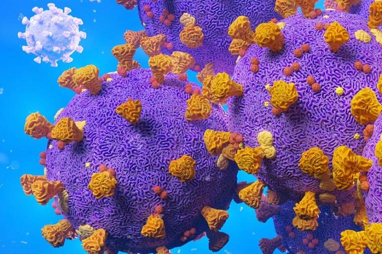 Novo otkriće naučnika: Imunitet na korona virus verovatno je veći nego što pokazuju testovi!