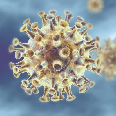 Predviđanje naučnika sa Harvarda: Evo još koliko će trajati borba sa korona virusom!