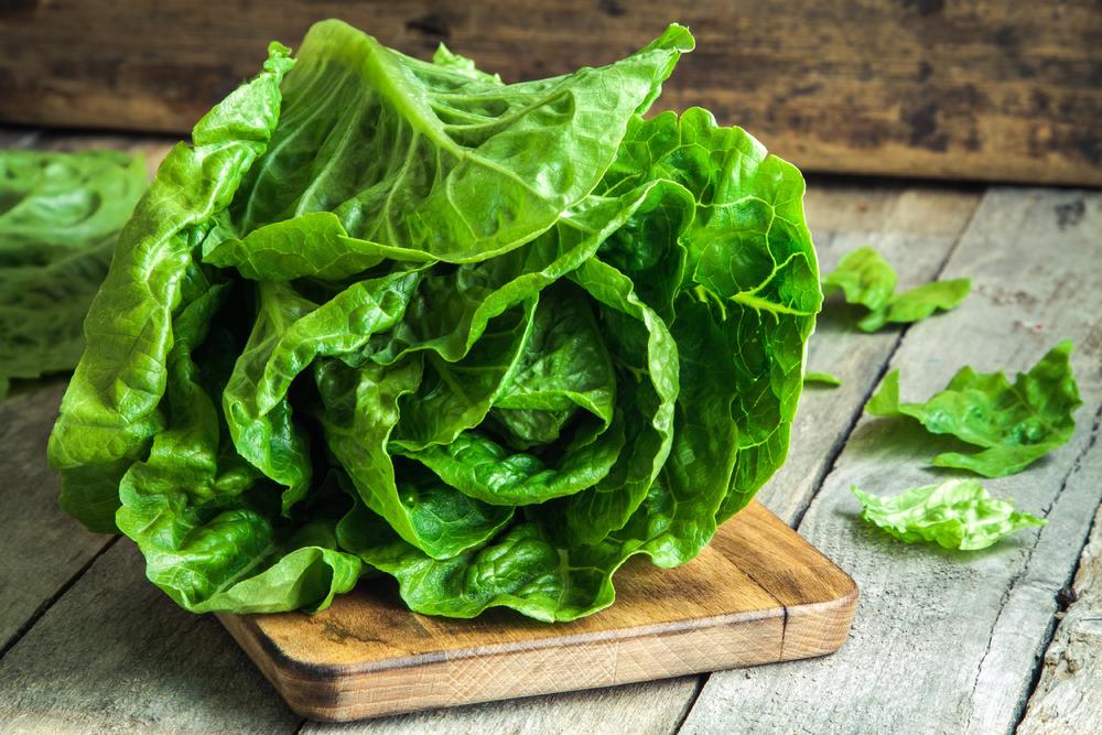 Zelena salata ostaće sveža i do 30 dana  