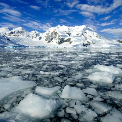 Prvi slučajevi korona virusa zabeleženi na Antarktiku!