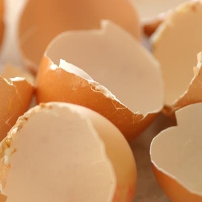 Ljuske od jaja su pravo blago, a svi ih bacate: Nećete verovati šta sve leče i kako ih možete koristiti! (VIDEO)