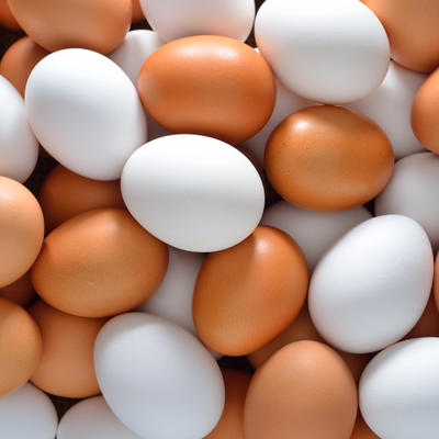 Koja je razlika između belih i smeđih jaja: Genetičar konačno razrešio dilemu!
