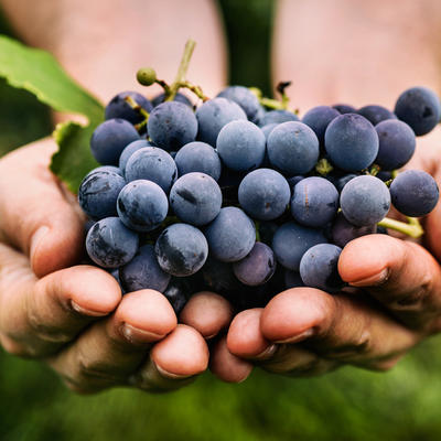 U njemu su i lepota i zdravlje: Ovo voće će učiniti čuda za organizam, a vaša koža i kosa će procvetati! (RECEPTI)