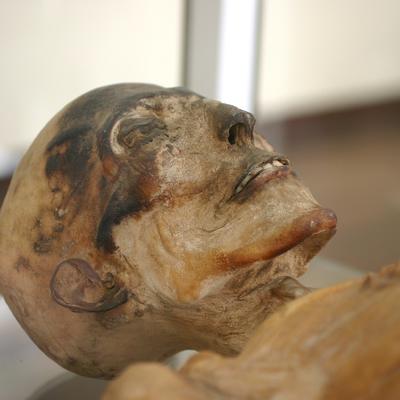 Egipatsko otkriće: Pronađeno 13 sanduka koji su stari više od 2.500 godina!