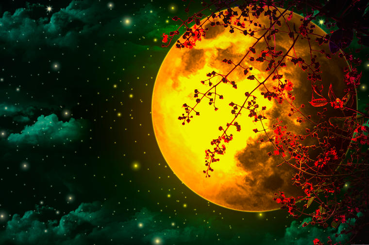 SVE O ČEMU SMO MAŠTALI POČINJE DA SE OSTVARUJE: Večeras stiže pun Mesec, a evo kako će uticati na svaki znak ponaosob!