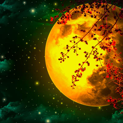 SVE O ČEMU SMO MAŠTALI POČINJE DA SE OSTVARUJE: Večeras stiže pun Mesec, a evo kako će uticati na svaki znak ponaosob!