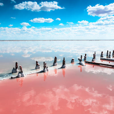 Čudesno roze jezero na Krimu zaludelo influensere: Fascinantan prizor koji mami na fotografisanje! (FOTO)