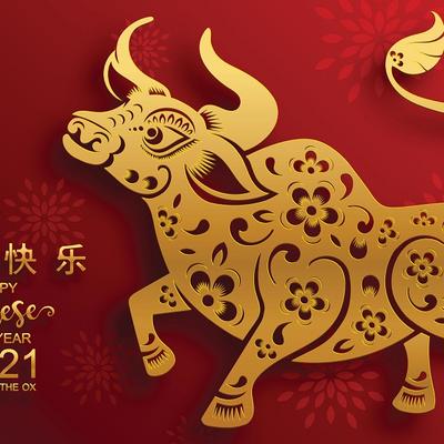 Kineski godišnji horoskop za 2021. godinu - Bivo