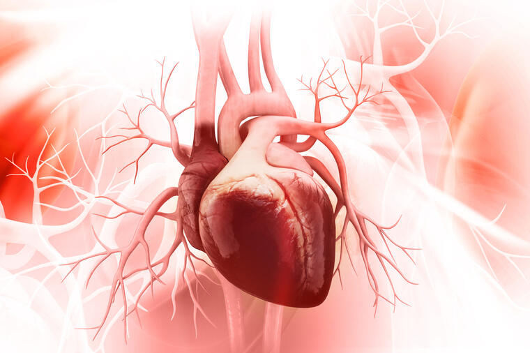 ONI SU ALARM ZA UZBUNU, KOJU MORATE OZBILJNO SHVATITI: 13 simptoma koji upozoravaju da imate ozbiljan problem sa srcem!