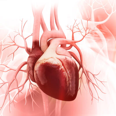 ONI SU ALARM ZA UZBUNU, KOJU MORATE OZBILJNO SHVATITI: 13 simptoma koji upozoravaju da imate ozbiljan problem sa srcem!