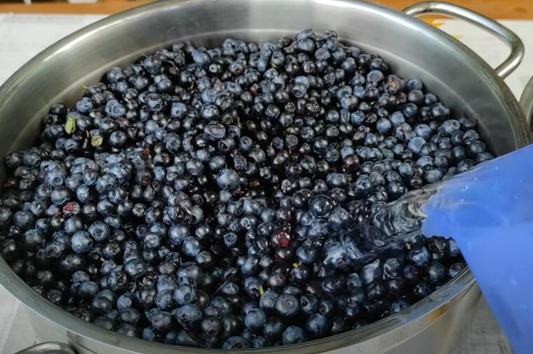 SEZONA BOROVNICA JE U TOKU: Evo kako da brzo i jednostavno napravite domaći sok i džem od ovih bobica
