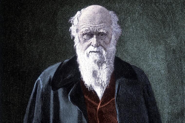 ZAHVALJUJUĆI ZEBAMA DOŠAO DO REVOLUCIONARNOG OTKRIĆA: Čarls Darvin je studirao TEOLOGIJU, a sebe opisivao kao agnostika