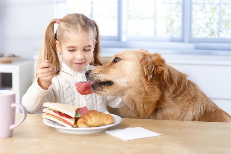 Hrana za pse i ljude: Počastite svog ljubimca