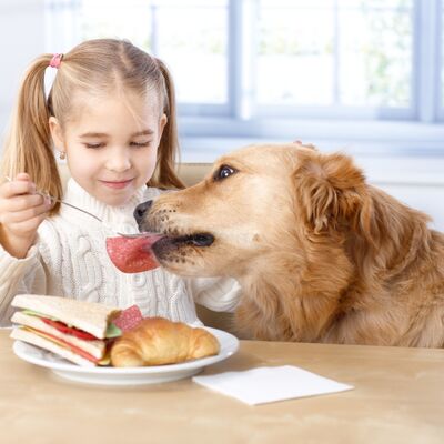 Hrana za pse i ljude: Počastite svog ljubimca