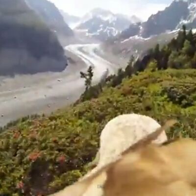 Prikačili kameru na orla i snimili neverovatne prizore Alpa (VIDEO)
