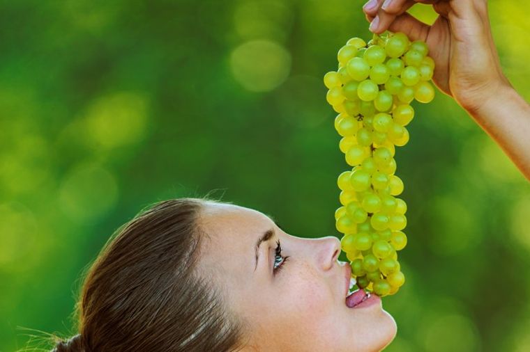 Sve dobrobiti grožđa: Top 10 lekovitih svojstava!