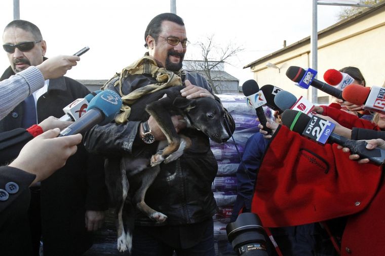 Stiven Sigal usvojio štene lutalicu iz Bukurešta (FOTO)
