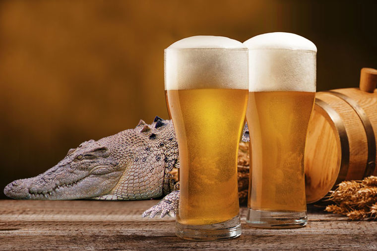 Nudio krokodila za pivo: Ukradenim reptilom probao da plati piće