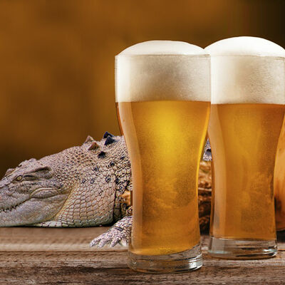 Nudio krokodila za pivo: Ukradenim reptilom probao da plati piće