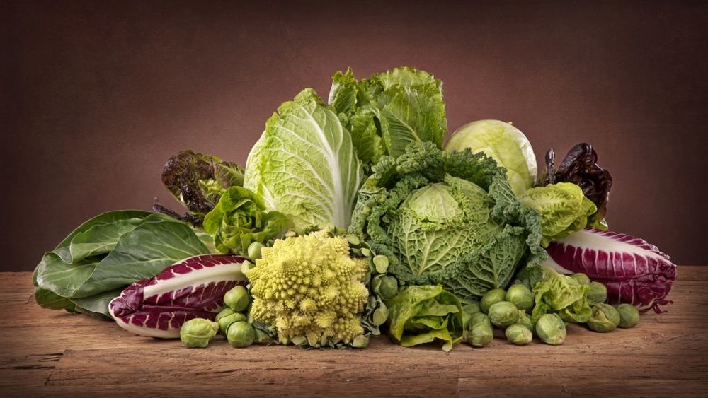 Kupus, Brokoli, Zeleno Povrće, Prokelj