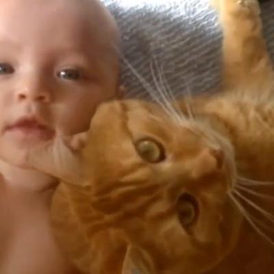 Preslatko: Niko ne čuva bebe bolje od maca (VIDEO)