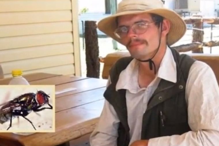 Jeo muve da bi preživeo: Nemački turista, dijabetičar, se izgubio u Australiji (FOTO)