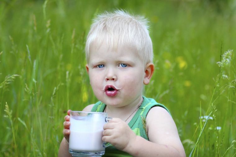 Stručnjaci upozoravaju: 99 odsto dece pije previše mleka!