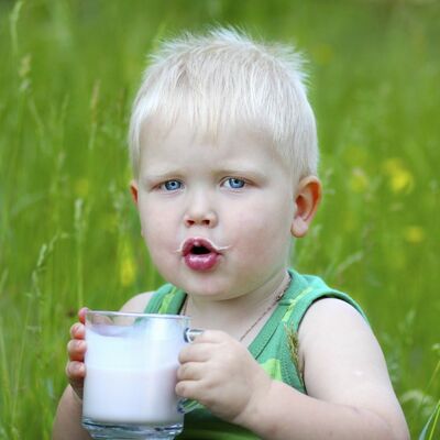 Stručnjaci upozoravaju: 99 odsto dece pije previše mleka!