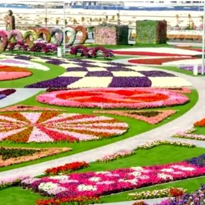 Zapanjujućih 45 miliona cvetova: Čudesna bašta u Dubaiju! (VIDEO)