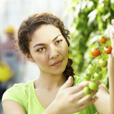 Gajite povrće na vašoj terasi: Čarobni balkon pun zrelih plodova! (FOTO)
