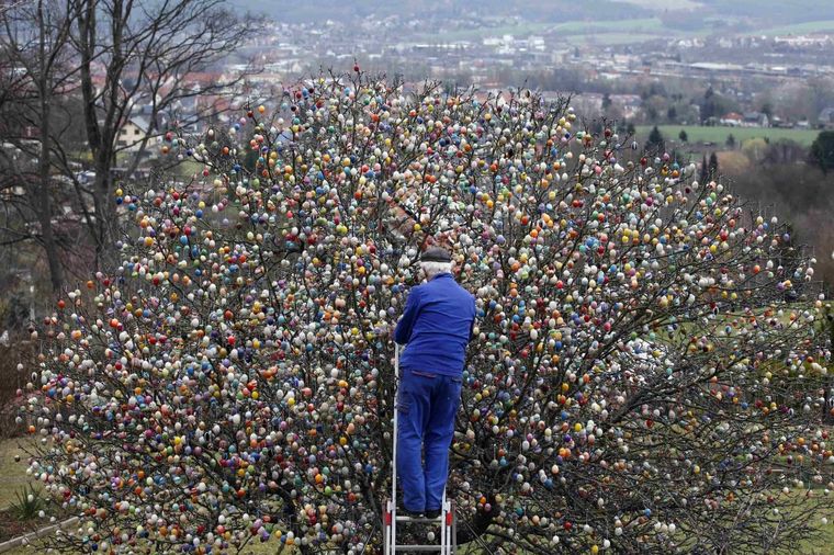 Drvo sa preko 10.000 uskršnjih jaja: Za ovog penzionera Uskrs je poseban praznik! (FOTO)