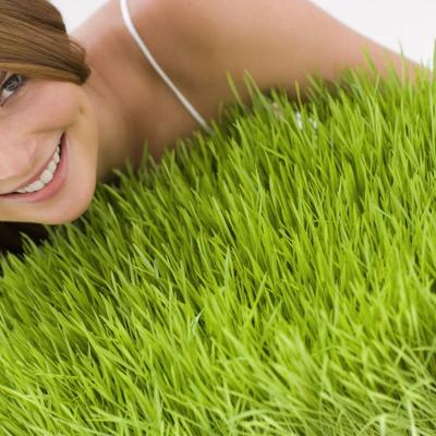 4 bitna razloga da volite ječmenu travu: Snižava holesterol, potpomaže varenje, bogata je proteinima