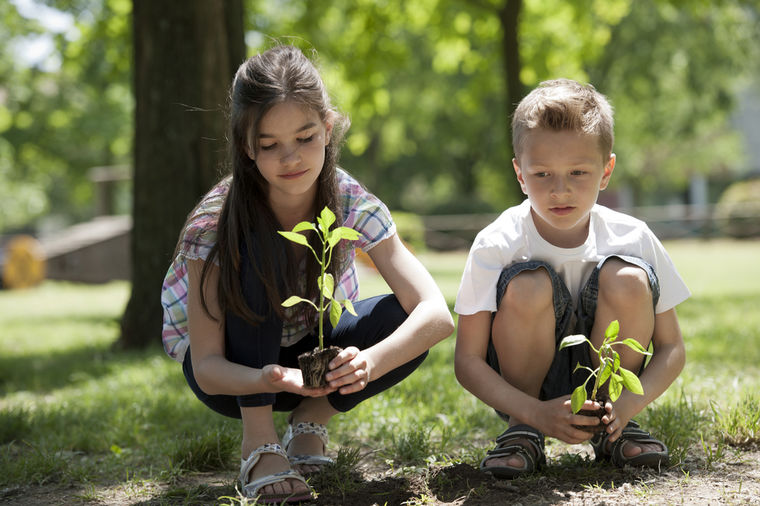 Britanski đaci će posaditi mini šumu oko svake gradske škole: Razvijaju prisan odnos sa prirodom!