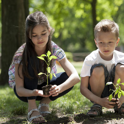 Deca u Beču zasadila 10 hiljada stabala: Porodična tradicija!