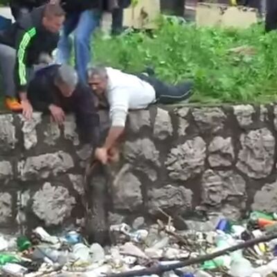 Spas u zadnji čas: Dramatično spasavanje psa iz reke Bosne (VIDEO)