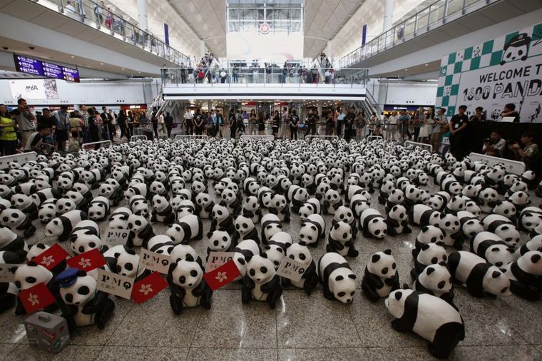 Najslađa umetnička instalacija za spas životinja: Pande okupirale aerodrom u Hong Kongu (FOTO)