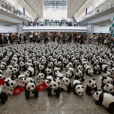 Najslađa umetnička instalacija za spas životinja: Pande okupirale aerodrom u Hong Kongu (FOTO)