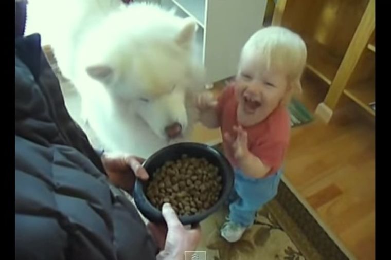 Neodoljivi drugari: Ima samo 2 godine, a hrani psa iz ruke! (VIDEO)